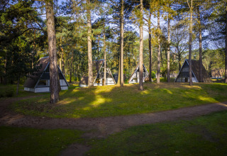 Three A-frame cabins among tall trees at Bospark 't Wolfsven holiday park in North-Brabant, Netherlands.
