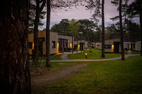 Avondbeeld van moderne huisjes omgeven door bomen in Bospark 't Wolfsven vakantiepark, Noord-Brabant, Nederland.