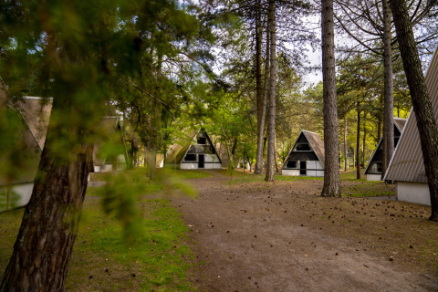 A-vormige huisjes tussen de bomen in vakantiepark Bospark 't Wolfsven, Noord-Brabant, Nederland.