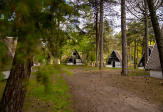 A-vormige huisjes tussen de bomen in vakantiepark Bospark 't Wolfsven, Noord-Brabant, Nederland.