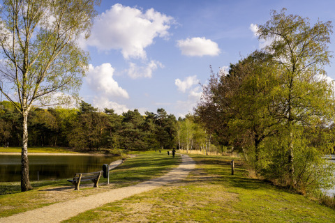 Wandelpad langs het meer in Bospark 't Wolfsven, vakantiepark in Noord-Brabant, Nederland, met bomen.