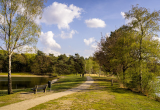 Chemin au bord du lac à Bospark 't Wolfsven, parc de vacances en Brabant-Septentrional, Pays-Bas.