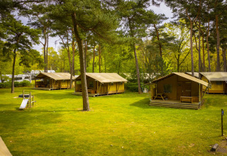 Glamping telte blandt træer på Bospark 't Wolfsven feriested i et grønt område i Nord-Brabant, Holland.