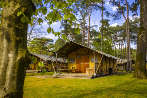 Bungalow in legno nella foresta di Bospark 't Wolfsven, parco vacanze in Brabante Settentrionale, Paesi Bassi.