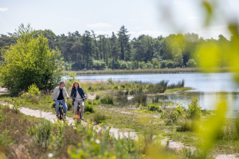 To personer cykler på en natursti nær en sø i det grønne område omkring Mierlo, Noord-Brabant, Holland.