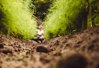 A person tends to green plants at Bospark 't Wolfsven holiday park, North Brabant, Netherlands.