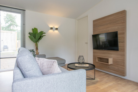 Modern living room in Timber Cottage 4 at Bospark 't Wolfsven, Netherlands, with cozy sofa and TV.