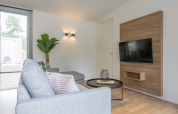 Modern living room in Timber Cottage 4 at Bospark 't Wolfsven, Netherlands, with cozy sofa and TV.