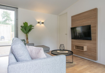 Moderne stue i et Tiny House på Bospark 't Wolfsven, med gråt sofaarrangement og fladskærms-tv.