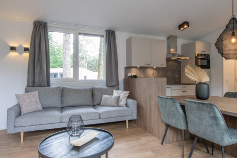 Gemütliches Wohnzimmer und Küche in Timber Cottage 6 im Bospark 't Wolfsven, Niederlande, mit moderner Einrichtung.