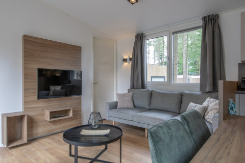 Salon moderne au Timber Cottage 6 à Bospark 't Wolfsven, avec canapé gris, mur TV et grandes fenêtres.