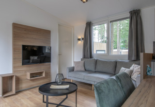 Modernes Wohnzimmer im Timber Cottage 6, Bospark 't Wolfsven, mit Sofa, TV-Wand und Fenstern.