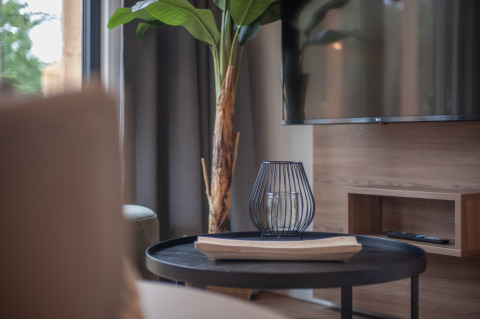 Soggiorno moderno in Tiny House 2 al Bospark 't Wolfsven, Paesi Bassi, con tavolo, TV e pianta.