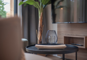 Espace salon moderne du Tiny House 2, Bospark 't Wolfsven, Pays-Bas, table, TV et plante décorative.