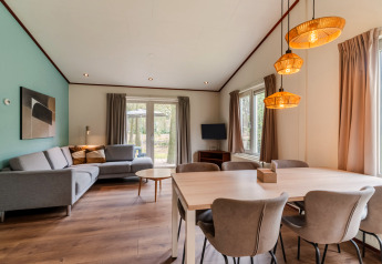 Living and dining area at chalet WVR6, Bospark 't Wolfsven in the Netherlands, with modern furniture.