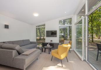 Bright living room in Lodge 6 tiny house at Bospark 't Wolfsven, Netherlands, with sofa and large windows.