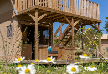 Safari tent 2 a Lauwersmeer nei Paesi Bassi, terrazza in legno e fiori selvatici sotto cielo azzurro.