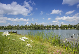 Vue sur le lac et végétation près de Hoge Hexel, Overijssel, Pays-Bas, sous un ciel bleu partiellement nuageux.