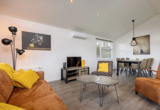Salon du lodge Schipbeek 6 à Tolplas, Pays-Bas, avec des meubles modernes et une décoration jaune chaleureuse.