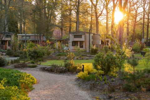 De avondzon schijnt tussen de bomen bij een knusse houten lodge in een groene, rustige omgeving.