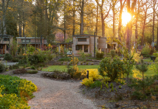 De avondzon schijnt tussen de bomen bij een knusse houten lodge in een groene, rustige omgeving.