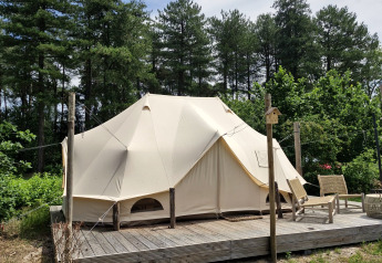 Afbeelding van een Bell tent bij Thuysgrond in Nederland, op een houten dek en omgeven door bomen.