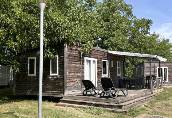 Outdoor view of Mobile Home Premium cabin with wooden deck, lounge chairs and leafy trees surrounding.