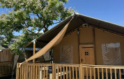 Safari-tent ‘Outback’ op Camping Terme Tuhelj in Kroatië, met houten terras en bloeiende boom bij mooi weer.