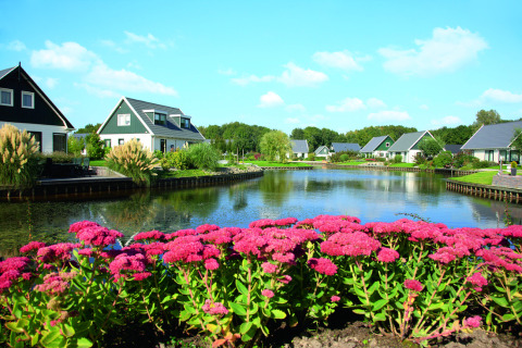 Vista del parque vacacional Hunzepark en Drenthe, Países Bajos, con cabañas y flores rosadas frente al lago.