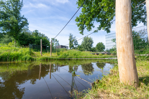 Pont de corde sur un étang au Hunzepark, parc de vacances à Drenthe, Pays-Bas, entouré de verdure.
