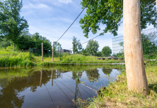 Puente de cuerda sobre estanque en Hunzepark, parque vacacional en Drenthe, Países Bajos, rodeado de vegetación.