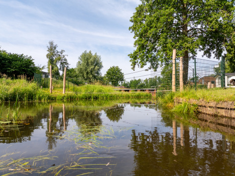 Reflejo de árboles y valla en un estanque del parque vacacional Hunzepark, Drenthe, Países Bajos, en verano.