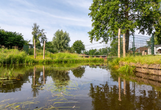 Reflet d’arbres et de clôture sur un étang au Hunzepark, parc de vacances à Drenthe, Pays-Bas, journée ensoleillée.