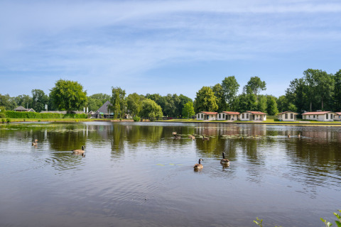Cabañas vacacionales junto a un estanque en Hunzepark, Drenthe, Países Bajos, con patos nadando y árboles.