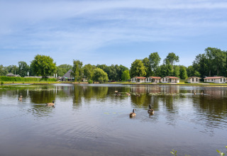 Cabañas vacacionales junto a un estanque en Hunzepark, Drenthe, Países Bajos, con patos nadando y árboles.