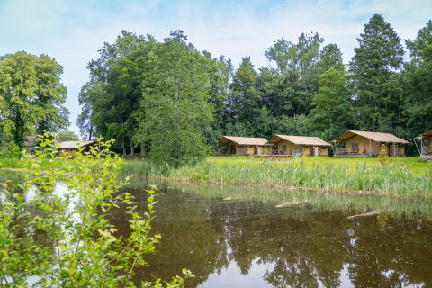 Tende safari vicino a uno stagno nel parco vacanze Hunzepark a Drenthe, Paesi Bassi, tra alberi verdi.