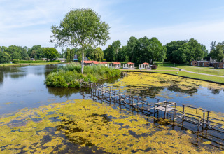 Cabañas junto a un lago con muelle de madera y algas en Hunzepark, un parque vacacional en Drenthe, Países Bajos.