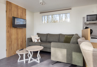 Salon lumineux avec canapé vert, tables en bois et TV au mur du Chalet Comfort 6 au Hunzepark, Pays-Bas.