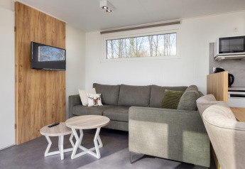 Lys stue med grøn sofa, træborde og vægmonteret tv i Chalet Comfort 6 på Hunzepark, Holland.