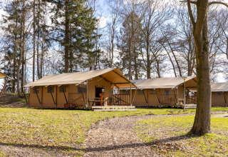 Tente safari avec terrasse au Hunzepark aux Pays-Bas, entourée d’arbres et d’herbe par une journée ensoleillée.