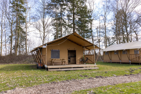 Tente safari 6 au Hunzepark, Pays-Bas, avec véranda en bois dans un cadre boisé et paisible.