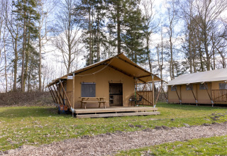 Tente safari 6 au Hunzepark, Pays-Bas, avec véranda en bois dans un cadre boisé et paisible.
