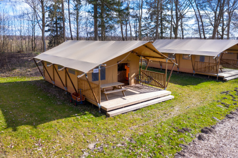 La tienda Safari 6 en Hunzepark, Países Bajos, con terraza de madera y banco exterior en la naturaleza.