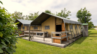 Vue extérieure de la tente safari 4, terrasse en bois, pelouse verte et autres tentes à l'arrière-plan.