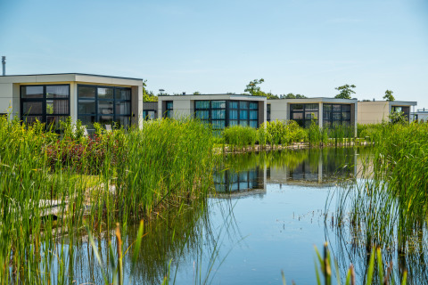 Modern glamping cabins with large windows beside a tranquil pond surrounded by tall grass and greenery.