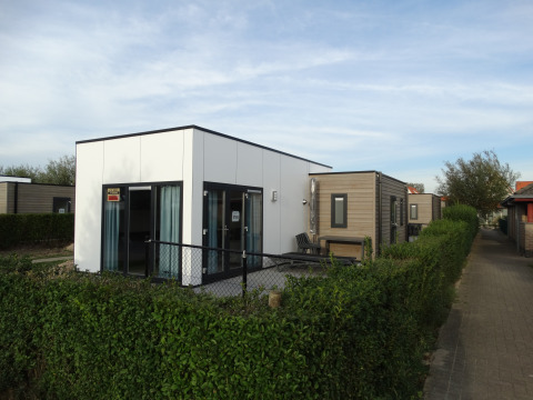 Zeitgemäße Lodge 4 im Breeduyn Village in Belgien, mit Hecke und angrenzendem gepflastertem Weg.