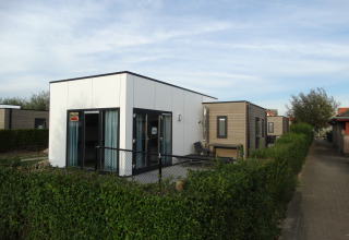 Zeitgemäße Lodge 4 im Breeduyn Village in Belgien, mit Hecke und angrenzendem gepflastertem Weg.