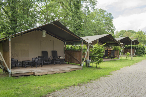 Safaritenten bij Camping de Haer vakantiedomein in Overijssel, Nederland, omringd door veel groen.