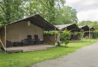Safaritenten bij Camping de Haer vakantiedomein in Overijssel, Nederland, omringd door veel groen.