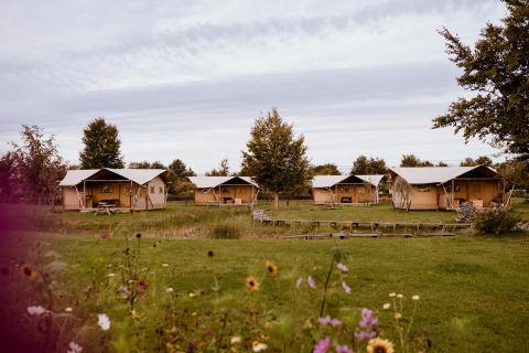 Glamping-Safariszelt im Ferienpark Eigen Wijze in den Niederlanden, umgeben von grüner Natur und Blumen.